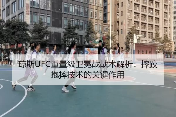 琼斯UFC重量级卫冕战战术解析：摔跤抱摔技术的关键作用